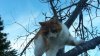 20150421_200353.jpg