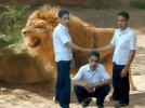 arabic tiger photoshop.jpg