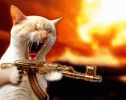 ot-movie-cat.gif