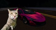 catmclaren.jpg