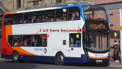 bus.png