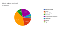 Forms response chart. Question title: What rank do you hold?. Number of responses: 46 responses.