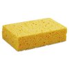 boardwalk-sponges-scouring-pads-bwkcs2-64_1000-2.jpg