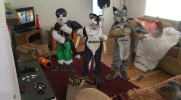 furry gang.png