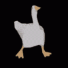 duck-dance.gif