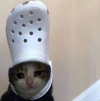 1748177972758.png