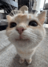1748720370867.png