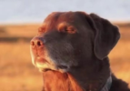 1750030642457.png