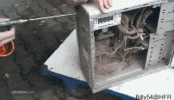 IMG_4561.gif