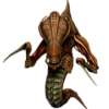 Hydralisk_(StarCraft).png