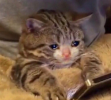 1750954046969.png