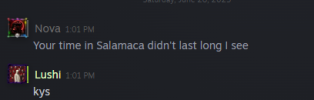1751216529292.png