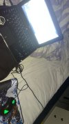 IMG_2974.jpeg
