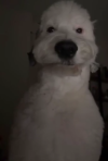 1753809703086.png