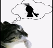1755285175131.png