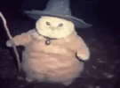 Wiz_3.gif