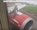 1755707850311.png