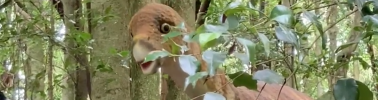 oddy-is-austistic-dino.png