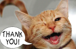 Thank youcat.png