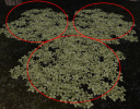 1758563159067.png