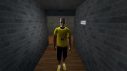 rp_paralake_city_v60057.jpg