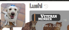 1759950518118.png