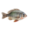 1761240793999.png