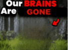 ou rbrains are gone.png