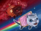 nyancat.png