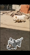 1777623244495.png