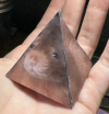 1777678364267.png