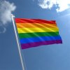 rainbow-flag-std_5.jpg