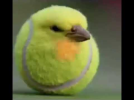 1778276662786.png