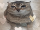 1779126424754.png