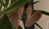 1779362688295.png
