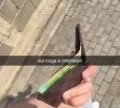 1779623975896.png