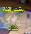 1779818930500.png