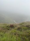 IMG_4596.jpeg