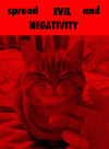 IMG_4552.gif
