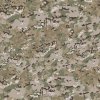 Multicam.jpg
