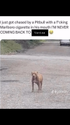 1781267729540.png