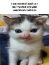 Normal.png