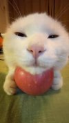 IMG_0035.jpeg