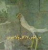 8affa347f5fd74ef60aba53790c50d53.jpg