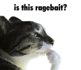 ragebait-is-this-ragebait.png