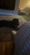 IMG_2782.jpeg