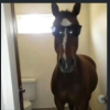 1782675231734.png