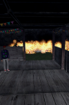 party fire.png