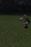 football.png