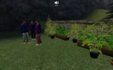 garden.png